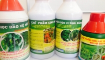 Chế Phẩm Sinh Học BMT – Giải Pháp Cải Tạo Đất Và Tăng Sức Đề Kháng Cho Cây Trồng Tại Buôn Ma Thuột
