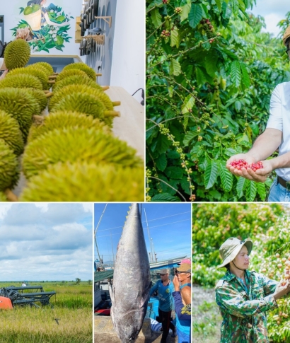 Xu hướng sử dụng vật tư nông nghiệp bền vững tại Đắk Lắk năm 2025