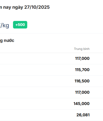 Giá cà phê hôm nay 27/10/2025: Giữ vững mức 116.800 đồng/kg – Tín hiệu tích cực cho vụ mới