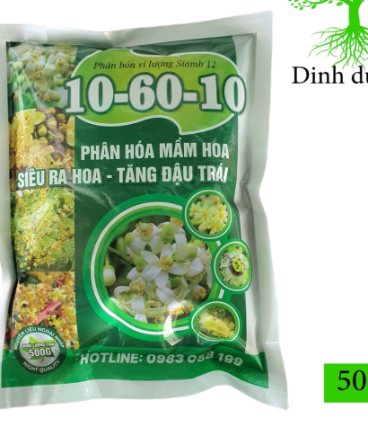 Phân Hóa Mầm Hoa BMT – Kỹ Thuật Nền Tảng Giúp Cây Ra Hoa Đồng Loạt, Năng Suất Cao