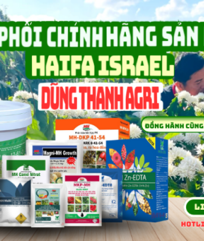 VTNN Dũng Thanh Agri: Giải pháp cây trồng và vật tư nông nghiệp chất lượng