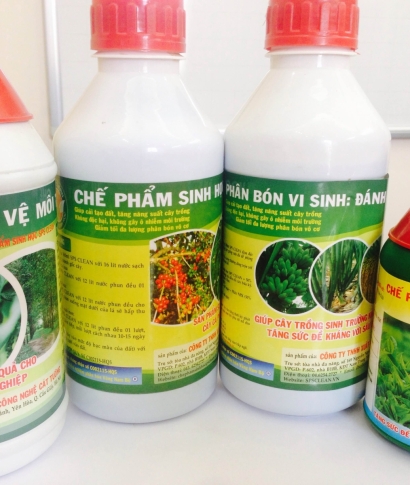 Chế Phẩm Sinh Học BMT – Giải Pháp Cải Tạo Đất Và Tăng Sức Đề Kháng Cho Cây Trồng Tại Buôn Ma Thuột