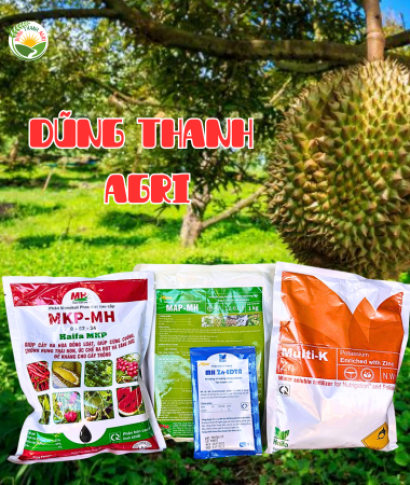 Cách chọn phân bón và thuốc BVTV hiệu quả — Lời khuyên từ Dũng Thanh Agri