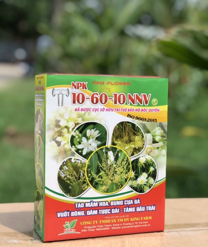 Lân Tạo Mầm Chính Hãng Đăk Lăk – Giải Pháp Tăng Khả Năng Phát Triển Bộ Rễ & Đậu Trái