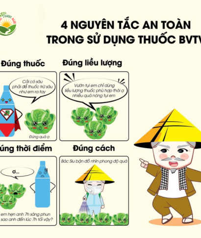 4 Nguyên Tắc An Toàn Khi Sử Dụng Thuốc Bảo Vệ Thực Vật