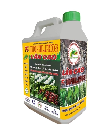 DŨNG THANH AGRI – Đại Lý Phân Phối Chính Thức Sản Phẩm RỒNG LỬA Tại Đắk Lắk