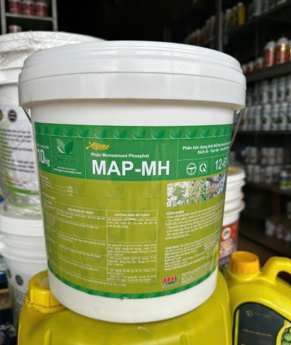 Lân Tạo Mầm Đắk Lắk – Kỹ Thuật Bón Đúng Giúp Cây Phát Triển Ngay Từ Bộ Rễ