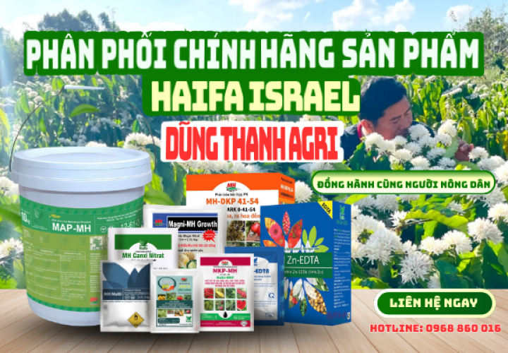 Vì sao chọn chúng tôi