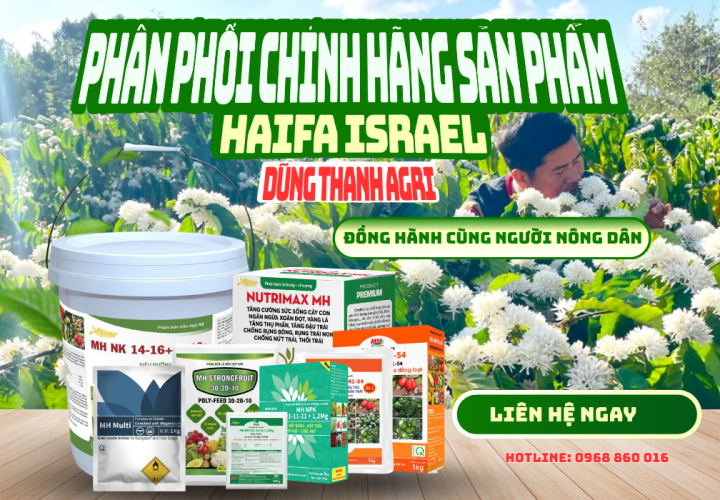Vì sao chọn chúng tôi