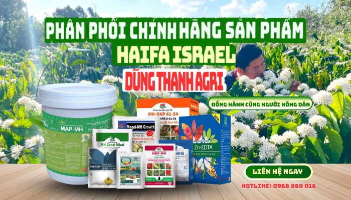 Vì sao chọn chúng tôi