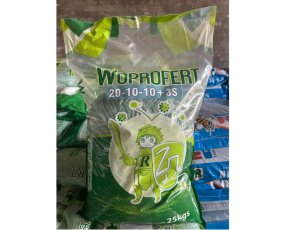 WOPROFERT 20-10-10+3S TRUNG HIỆP LỢI