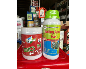 BỘ KÉO ĐỌT SẦU RIÊNG RỒNG LỬA