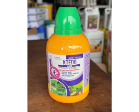 KTEDO 85EC (450ml)