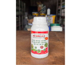 MH NPK 8-8-8 + ME + 5%SW (RONG BIỂN)