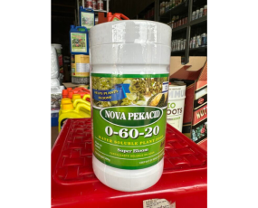 0-60-20 ICL KIM NÔNG