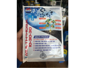 MULTI NPK 10-30-30 RỒNG LỬA