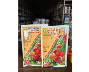 KÍCH PHÁT TỐ QUANG NÔNG