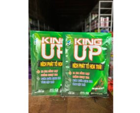 KING UP – KÍCH PHÁT TỐ RỒNG LỬA