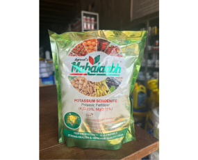 MAHALAABH - KALY TRẮNG ẤN ĐỘ 1KG 