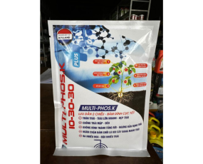 10-30-30 MULTI PHOS K RỒNG LỬA