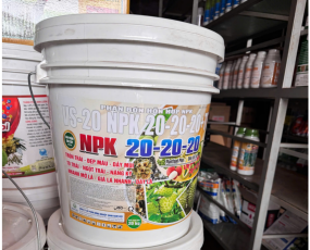 VS-20 NPK 20-20-20+TE.
