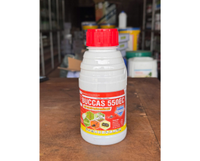 BUCCAS 550EC ĐẶC TRỊ RẦY XANH RỆP SÁP