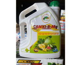CANXI-B-MG CAN 5L RỒNG LỬA 