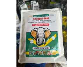  Magie nitrat Magni-MH