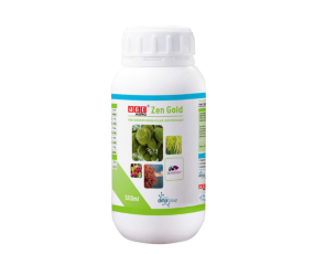 ZEN GOLD NGÔ AGRO 