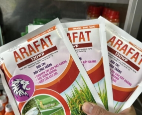 ARAFAT 120WP SNEWRICE ĐẶC TRỊ SÂU RẦY KHÁNG