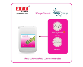 AMISTIM 40 NGÔ AGRO CAN 20L – Tăng cường năng lượng tự nhiên