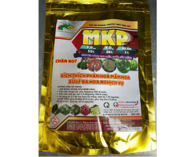 MKP 0-52-34 RỒNG LỬA 