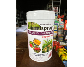 29-10-10 MELSPRAY HOÀNG DŨNG