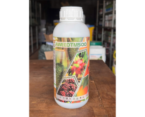  SEAWEED HỮU CƠ NAM VIỆT (RONG BIỂN) (1 lít)