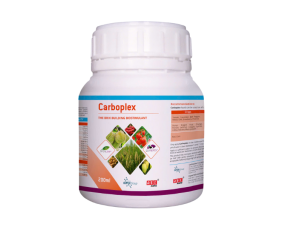 Carboplex – Tăng độ ngọt và chất lượng nông sản