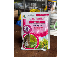 SANTAONE 200WP SNEWRICE