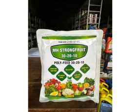 30-20-10 HAIFA MINH HƯNG