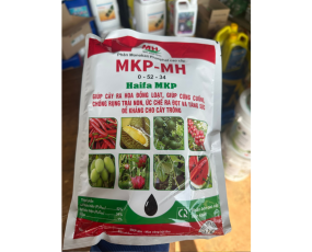 MKP HAIFA ISARAEL-MH 0-52-34