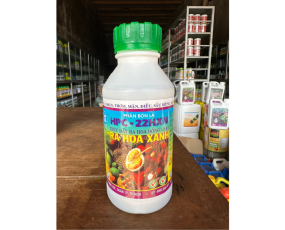 HTC Đại Ngàn Ra Hoa Xanh.