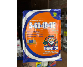 5-60-10 RỒNG LỬA