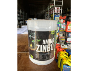 AMINO ZINBO RỒNG LỬA
