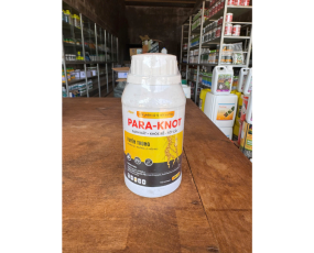 PARA KNOT MINH HƯNG - ĐẶC TRỊ TUYẾN TRÙNG RỄ