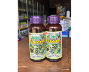 BOLY LAZIO Ý – Liquid Amino Acids