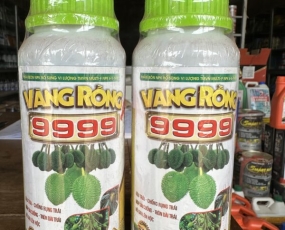 VÀNG RỒNG 9999 - CHỐNG RỤNG TỨC THÌ 500ML - RỒNG LỬA 