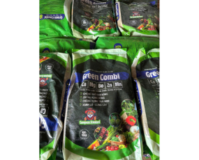 CANXI VI LƯỢNG GREEN COMBI RỒNG LỬA