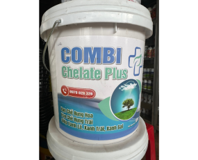 COMBI CHELATE PLUS
