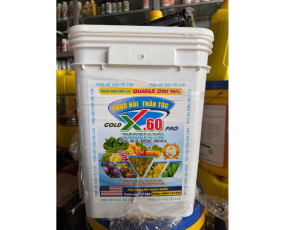  PHỤC HỒI THẦN TỐC X.60 