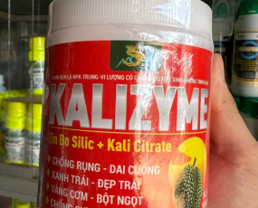 KALIZYME-Lên cơm sầu riêng RỒNG LỬA