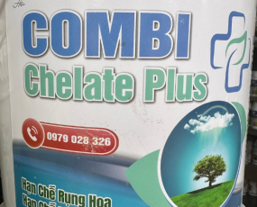 COMBI CHELATE PLUS