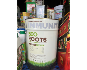 BIO ROOTS THỔ NHĨ KÌ